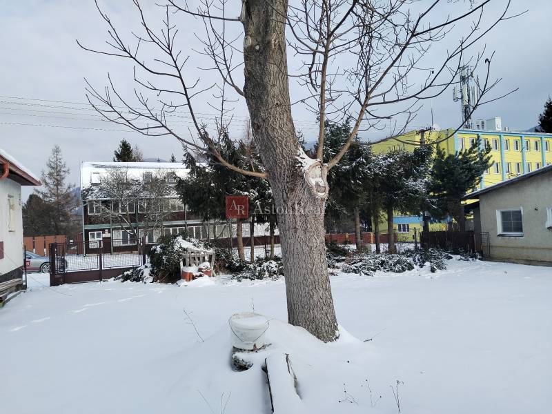 A snowy yard of a family house on Hájska Street in Martin with a free-standing tree.