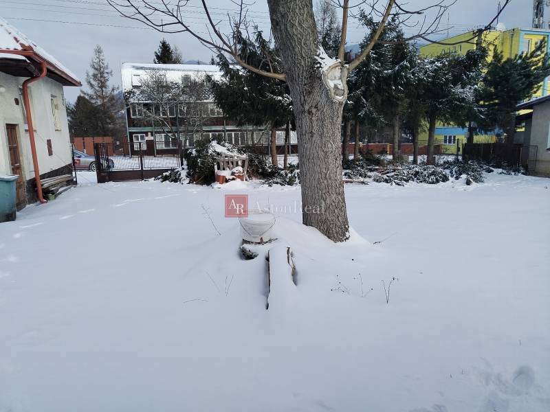A snowy garden of a family house on Hájska Street in Martin, a tree in the middle of the space.