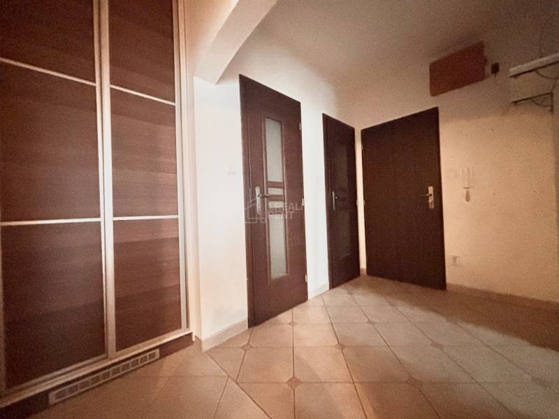 A hallway in a 3-room apartment with dark doors and a built-in wardrobe.