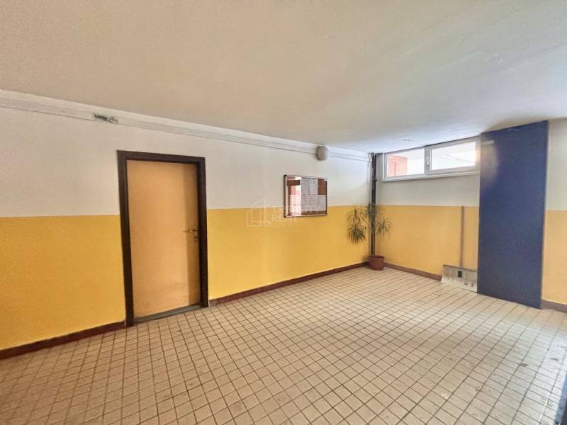A hallway in a 3-room apartment building with tiles, doors, and a plant in the corner.
