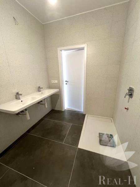 A bathroom with a double sink and a shower in a two-room apartment. Clean design.