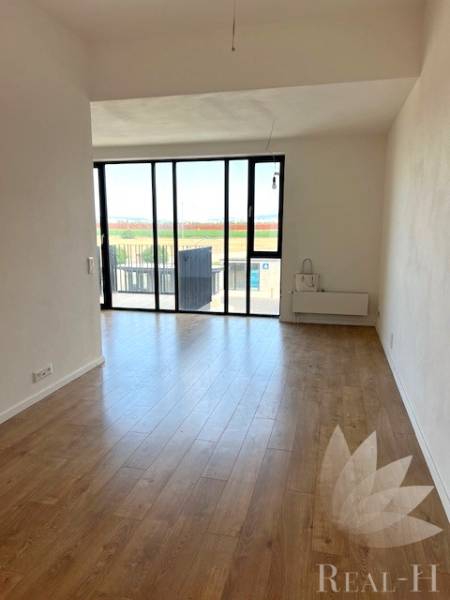 A bright living room with large windows and wood-patterned flooring in a two-room apartment.