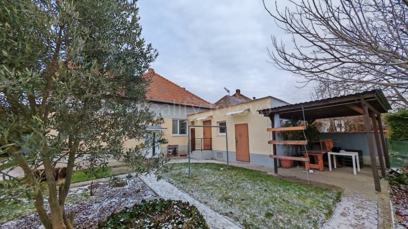 A family house in Trnovec nad Váhom with a covered outdoor seating area and a garden with vegetation.