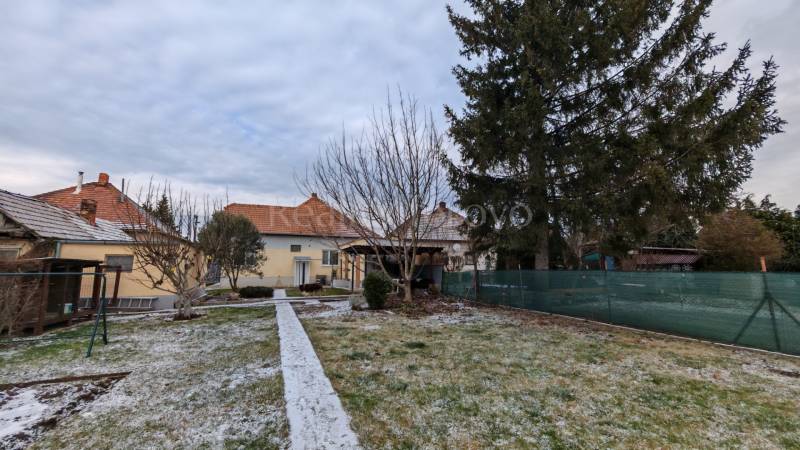 A snow-covered garden and a family house in Trnovec nad Váhom with a coniferous tree.