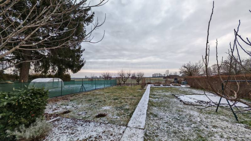 A snowy garden of a family house in Trnovec nad Váhom with bare trees and a greenhouse.