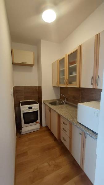 Kitchen in a studio apartment with a countertop and cabinets, floor with wood decor.