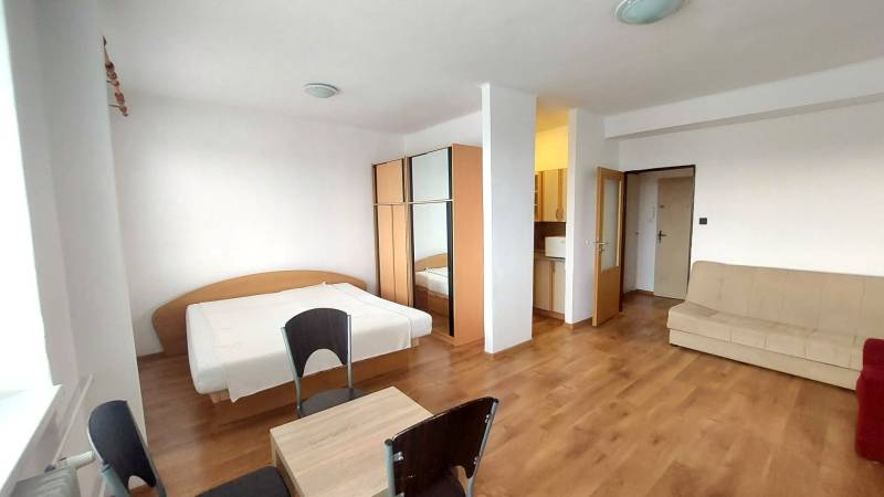 A one-room apartment with a wooden decor floor, a bed, a sofa, and a wardrobe.