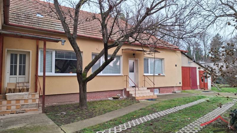 A family house on the street in Nová Ves nad Žitavou with a red roof and a tree in front.