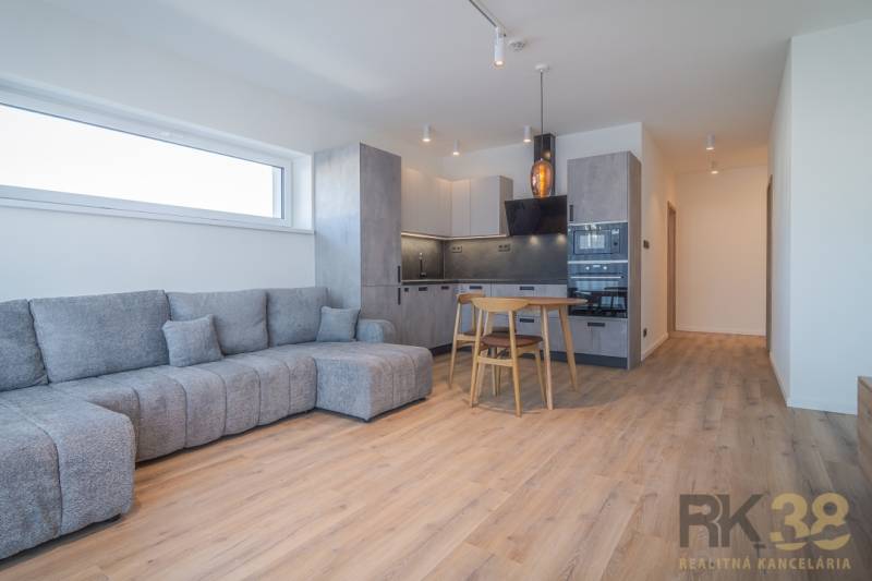 Living room in a two-room apartment with a gray sofa and a kitchen with wooden furniture.