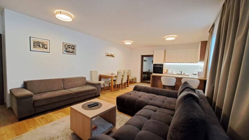 Living room of a two-room apartment with sofas, a dining table, and a kitchen, floor with wooden decor.