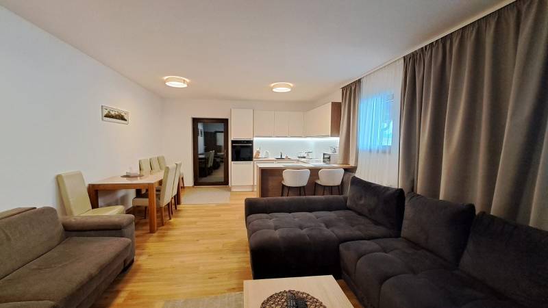 Living room of a two-room apartment with a kitchen, dining table, and wooden decor flooring.
