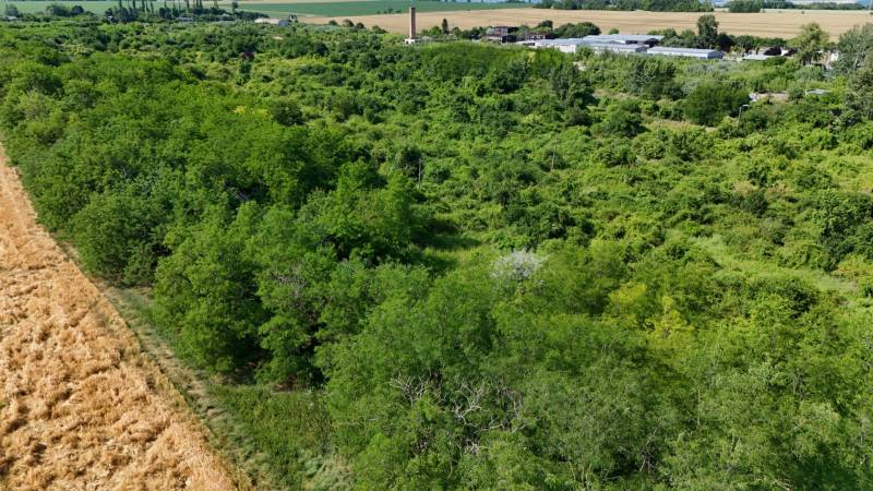 Meadow and forest land in Ivanka pri Nitre, surrounded by greenery and agricultural land.