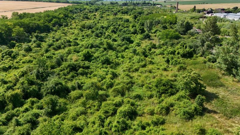 Greenery covers extensive commercial lands in Ivanka pri Nitre, surrounded by fields and trees.
