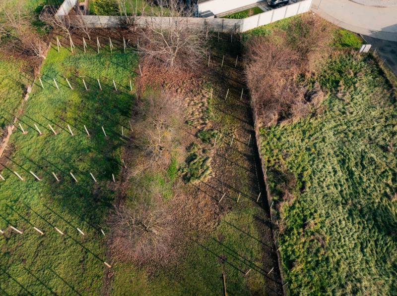 A view of a fenced plot in Vlčkovce with scattered trees, designated for residential use.