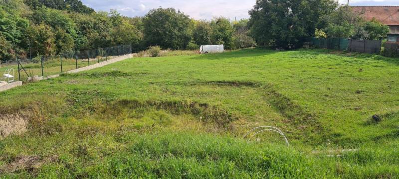 A garden at a family house in Semerovo, with greenery and trees on the edge of the property.