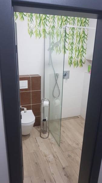 Bathroom with a glass shower enclosure, decorative tiles, and a wood-patterned floor.