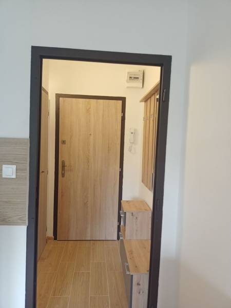 Studio apartment interior with wood-patterned flooring and wooden doors.