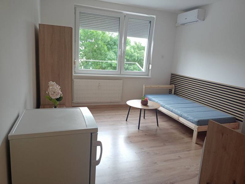 The studio apartment has a floor with a wooden decor, a sofa bed, and a table with a plant.