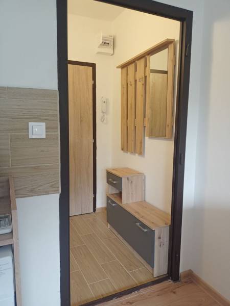 The entrance hall in the studio apartment with a wood-patterned floor and a coat rack wall.