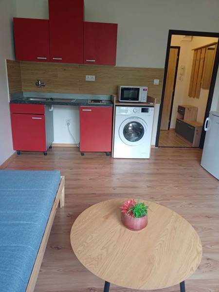 Studio apartment with a kitchenette, washing machine, table, and wooden decor flooring.