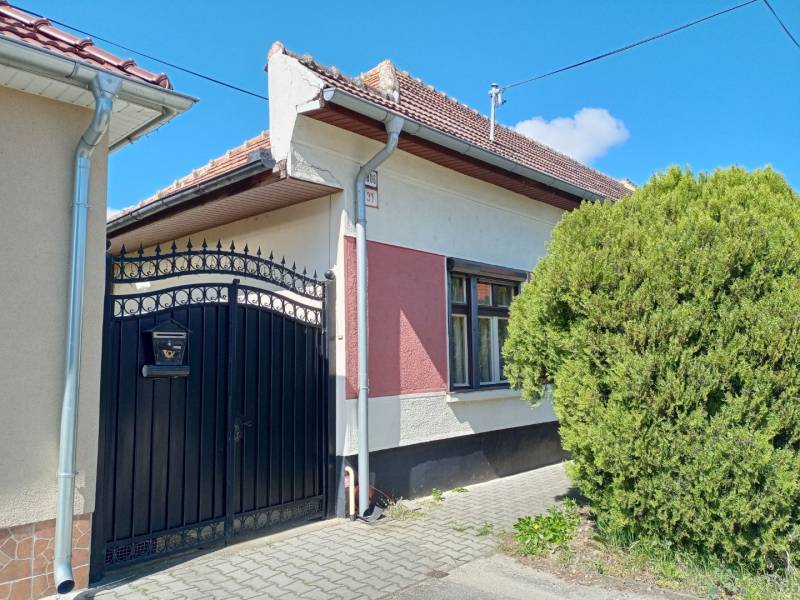 A family house in Nové Zámky with a metal gate and a window, next to lush greenery.