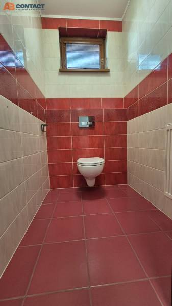 Bathroom in a family house with a wall-mounted toilet, red tiles, small window, flooring.