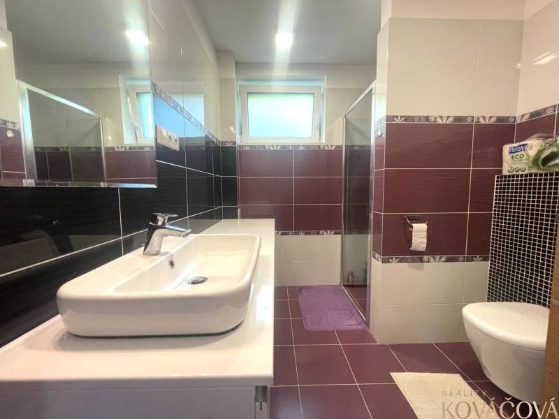 A bathroom in a family house with a modern sink and toilet, ceramic tiles in dark colors.