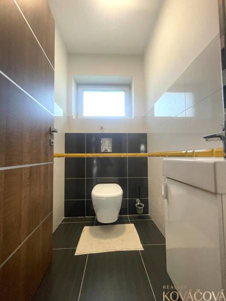 A bathroom in a family house with a toilet, light walls, and black tiles.