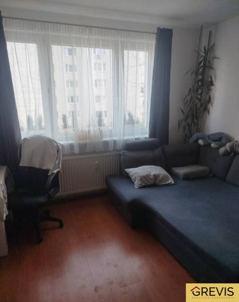 Studio apartment with a sofa, a desk, and a wooden floor decor.