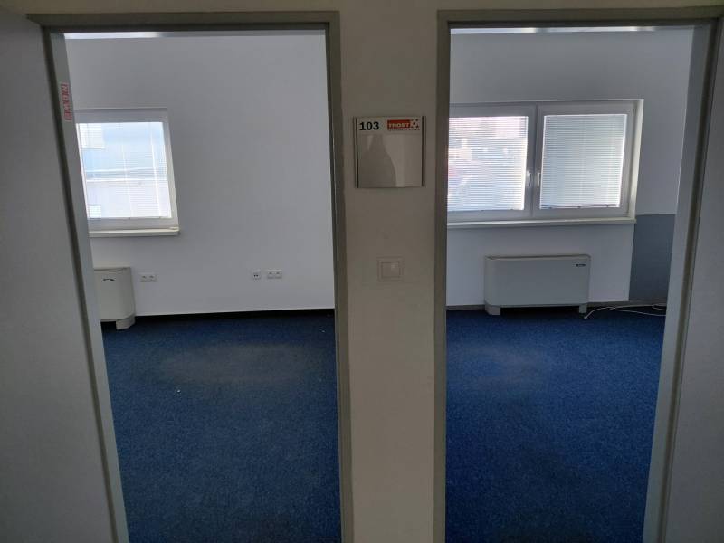 Interior of offices with blue carpet and windows with blinds.