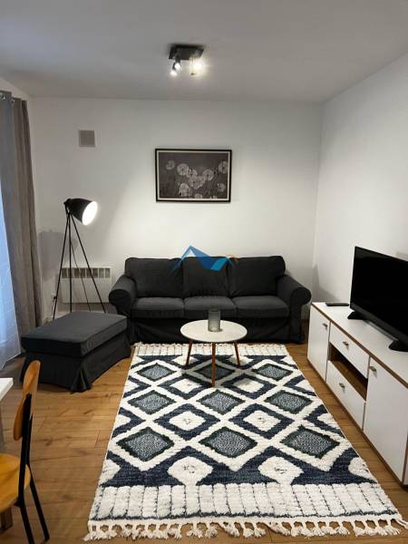 Nice 2-room apartment on Brečtanová Street: cozy living room, black sofa, stylish carpet.