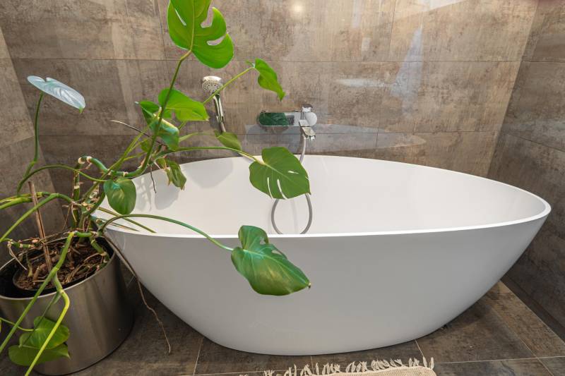 In the bathroom of a 4-room apartment with a plant and tiles in a gray shade.