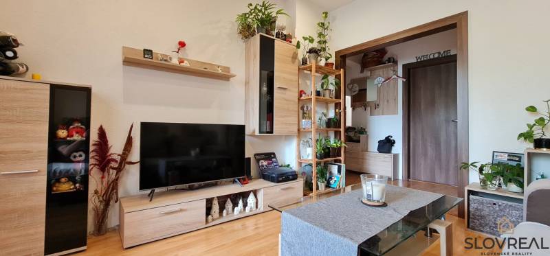 Living room of a two-room apartment with a wood-patterned floor, shelves, and decorations.