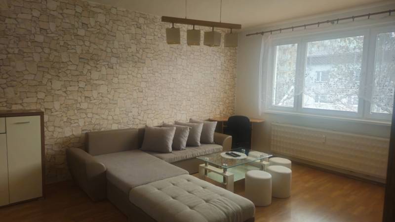 Living room in a two-room apartment with a stone wall and a sofa, light flooring with a wooden decor.