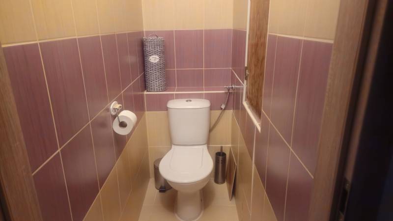 A toilet in a 2-room apartment with purple-yellow tiles and toilet paper.