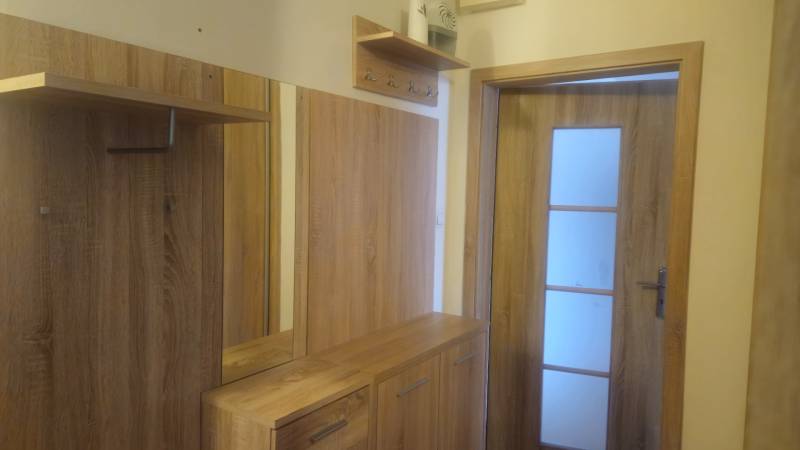 The interior of the hallway in a 2-room apartment with a floor featuring a wooden decor.