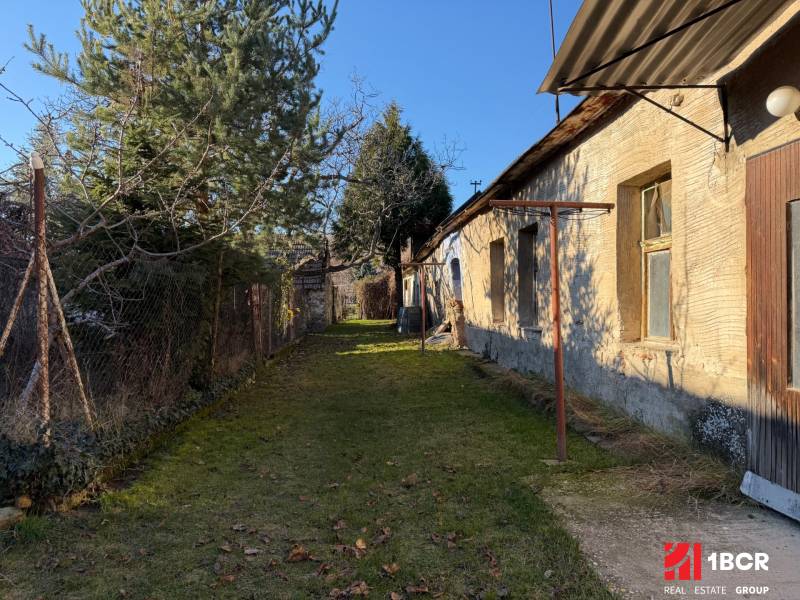 The garden of a family house on Bratislavská Street in Svätý Jur with a lawn and a tree.