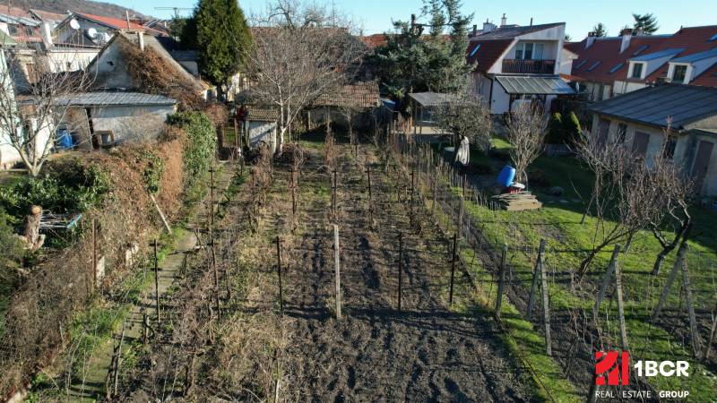 A garden with vines and trees at a family house on Bratislavská Street in Svätý Jur.