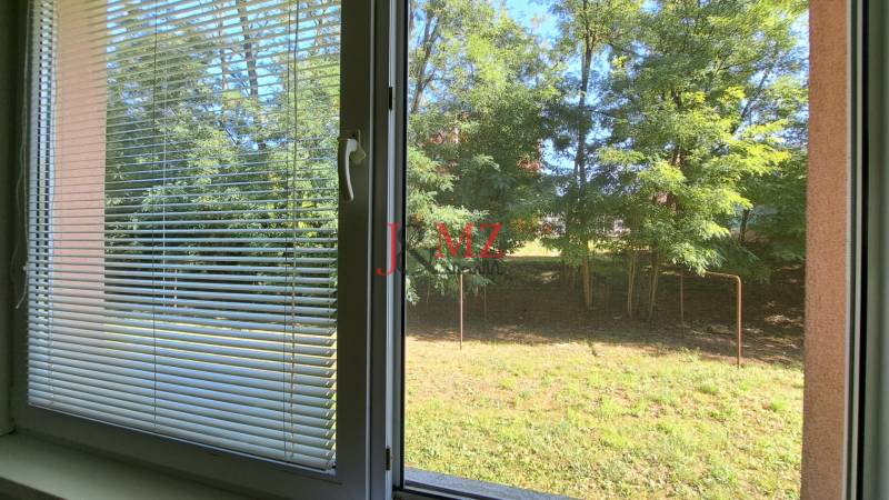 A view from a 2-room apartment to greenery with a view of trees.