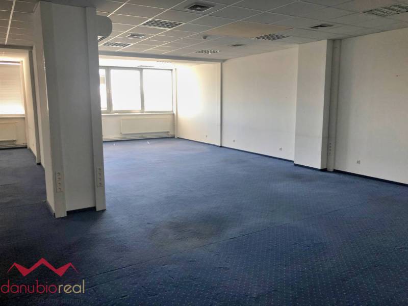 Spacious offices with blue carpet and large windows providing natural light.