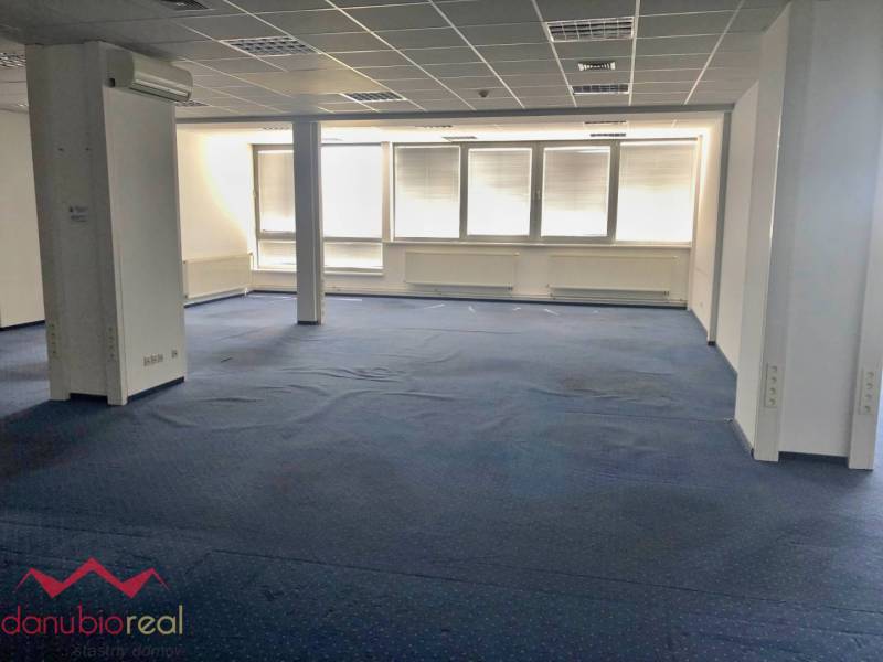 Offices with blue carpet, ceiling lights, air conditioning, and large windows with blinds.