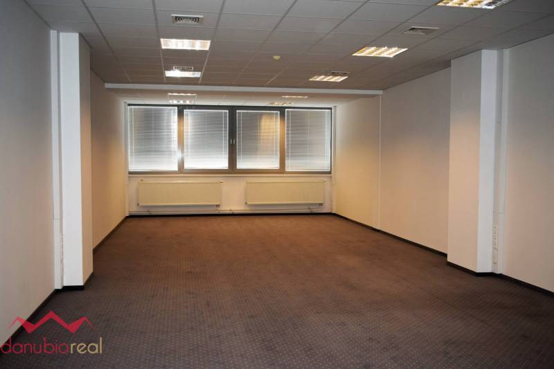 Office space with carpet and windows, illuminated by ceiling lights.