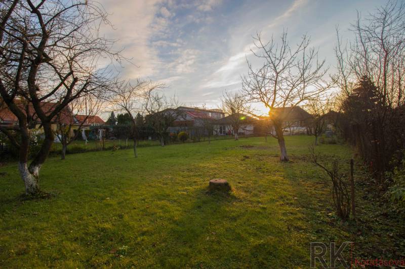 Garden in a Family House on Člnková Street in Košice, Džungľa district.