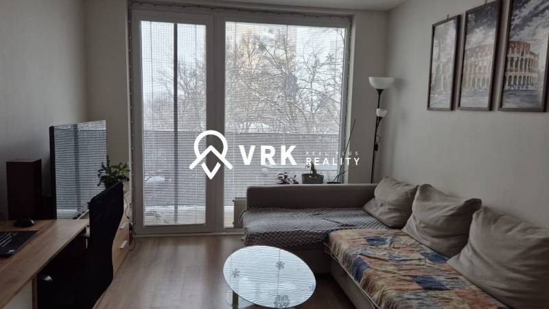 Living room in a two-room apartment with a sofa, wooden decor flooring, decorations.