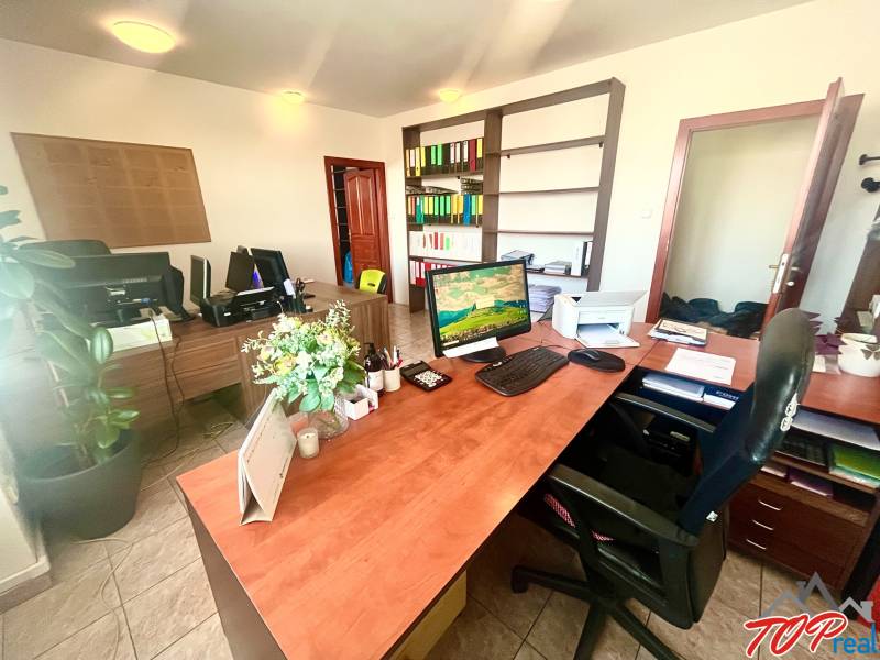 Offices with wooden furniture and a plant, ideal for work.