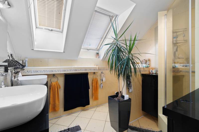 A bathroom in a family house with a sink, a skylight, a shower, and a houseplant.