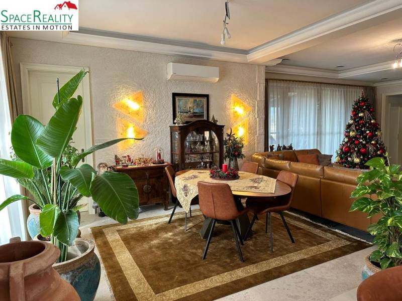 Living room in a family house with a Christmas tree and a stylized table.