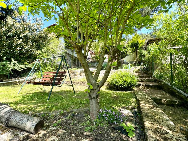 The garden of a family house in Vrbovce, a wooden swing, a tree, stone steps, and greenery.