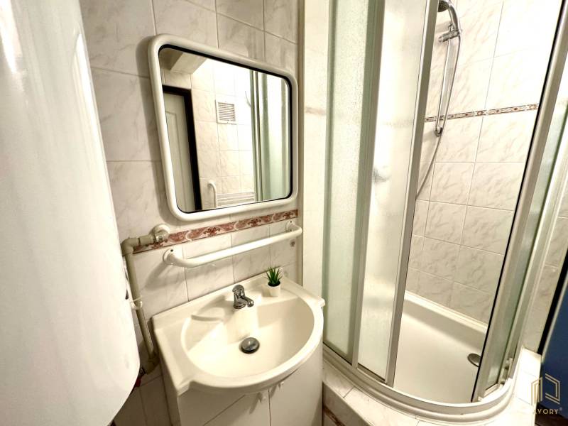 Bathroom in a family house with a sink, mirror, and shower enclosure.