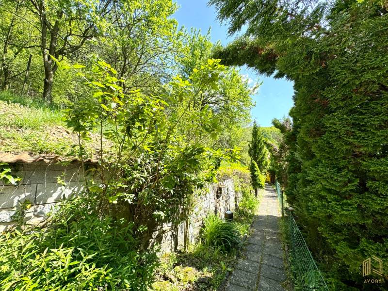 The garden of a family house in Vrbovce with a stony path surrounded by lush greenery and trees.